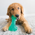 Load image into Gallery viewer, Kong Squeezz Dental Bone
