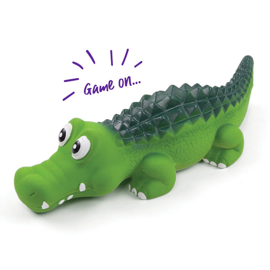 Cool Crocodile