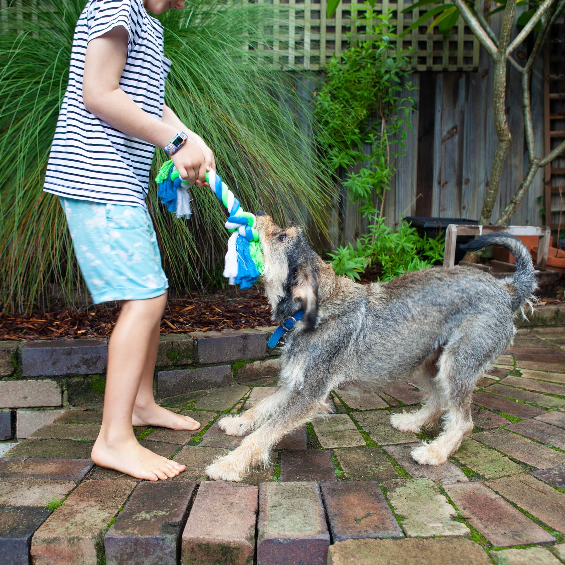 Twisted Rope Knot Bone Dog Toy