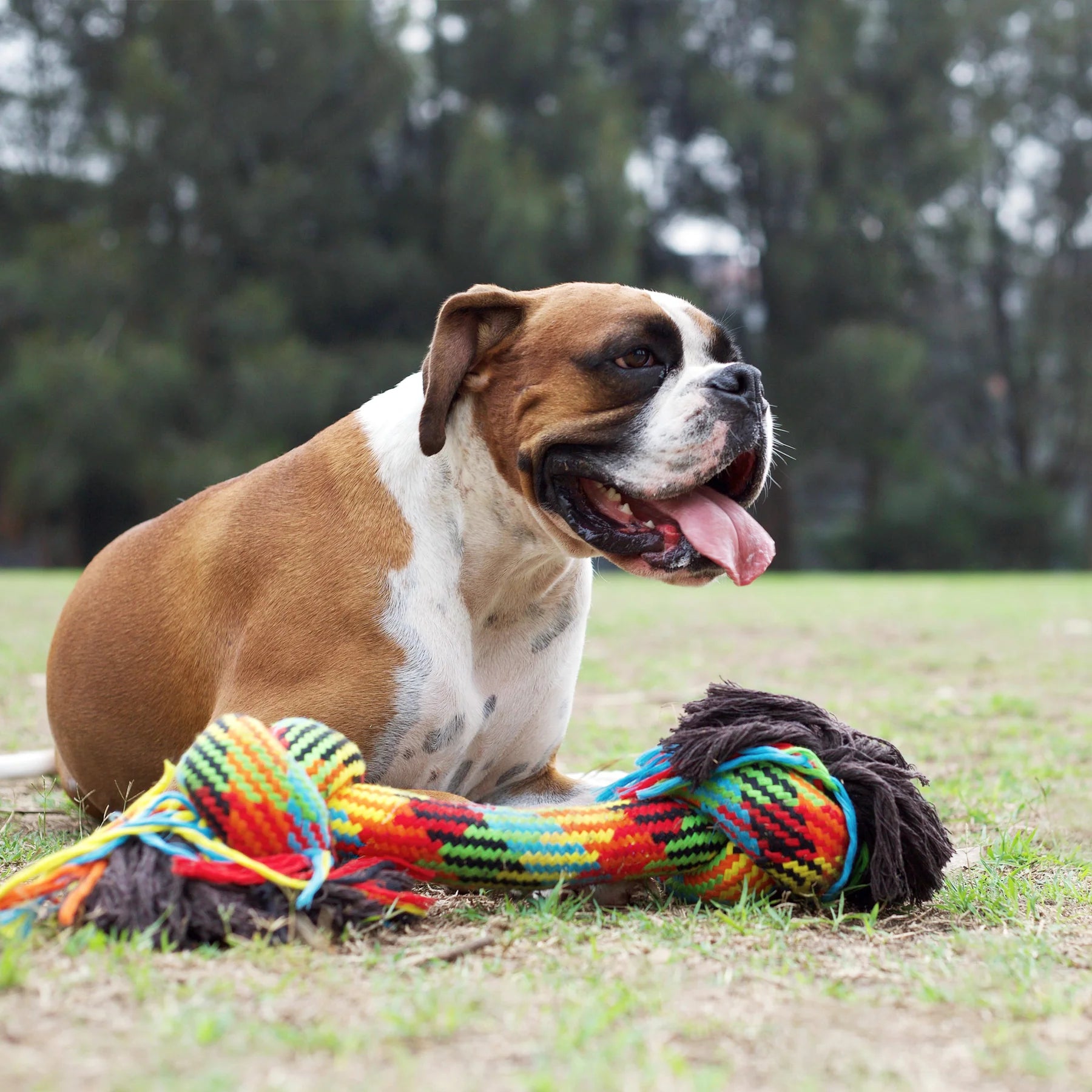 Braided Rope Knot Bone