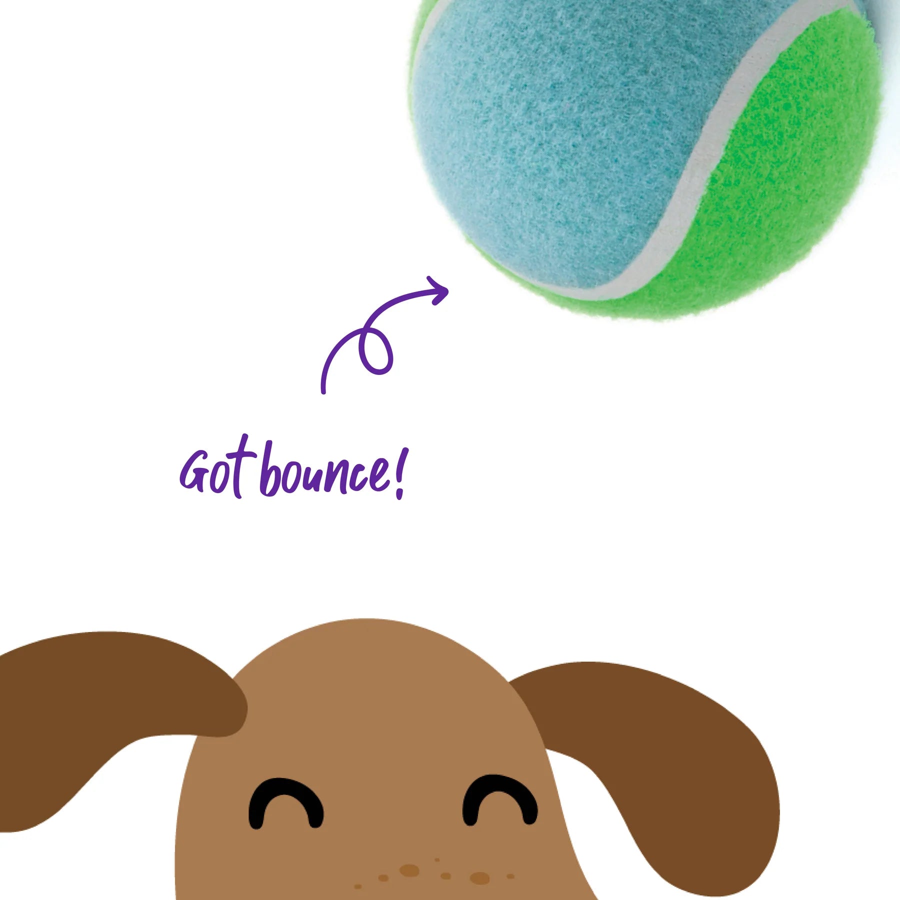 Puncture Proof Tennis Ball Dog Toy