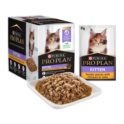PRO PLAN Kitten Chicken in Jelly Wet Cat Food 85g x 12