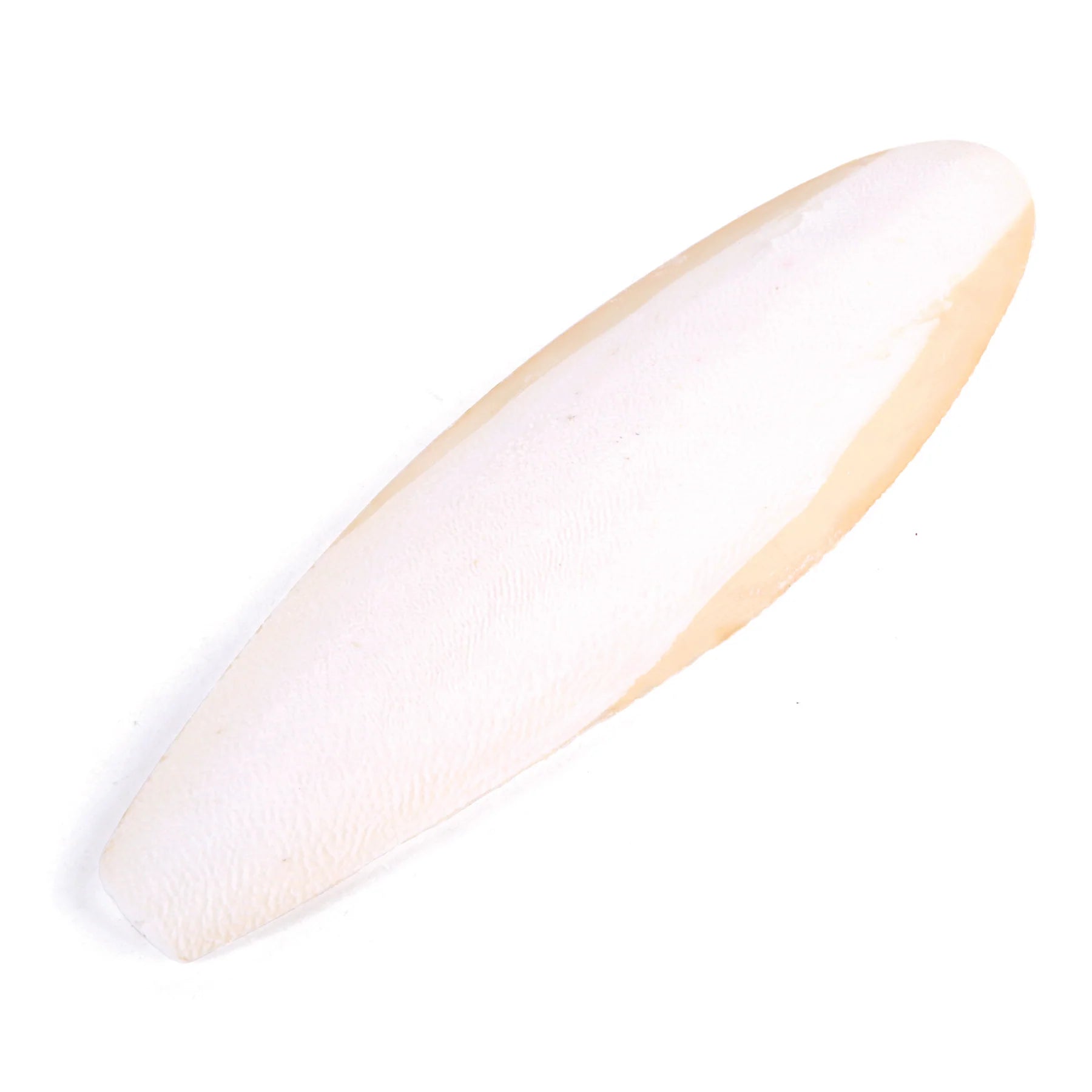 Kazoo Natural Cuttlebone