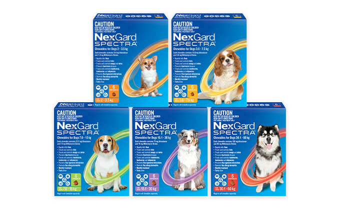 Nexgard Spectra for Dogs 7.6 - 15kg