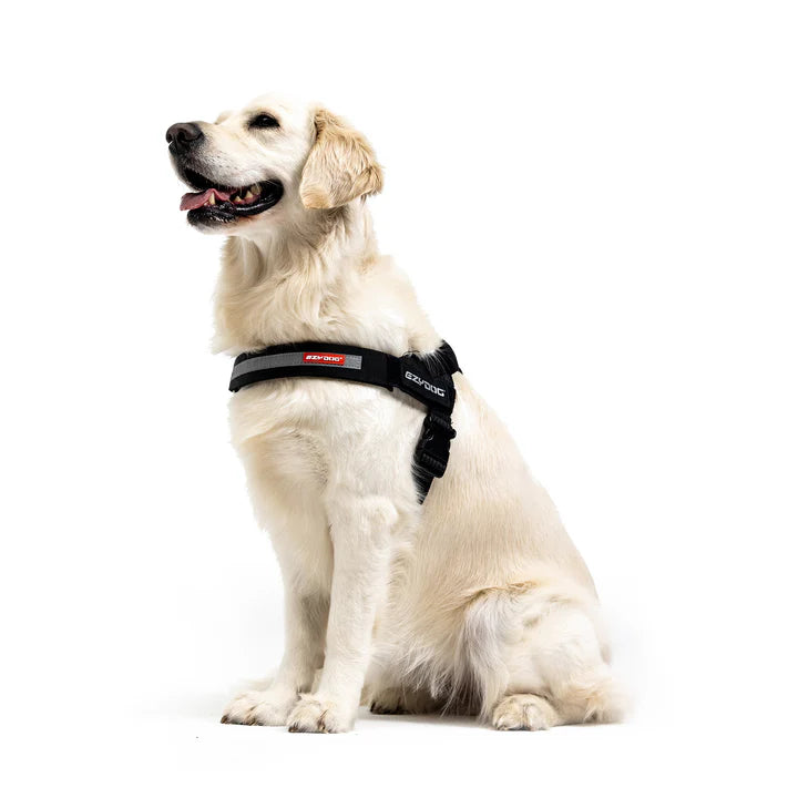 EzyDog - Express Harness - Black
