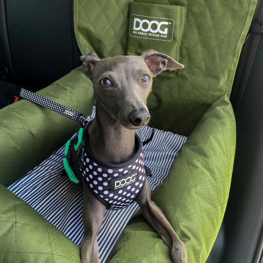 Doog Car Seat