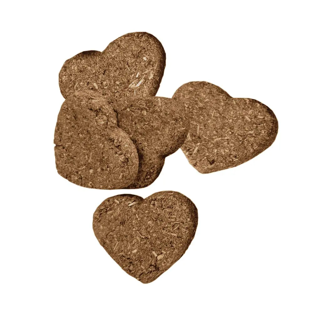 Oxbow - Simple Rewards Baked Treats with Cranberry