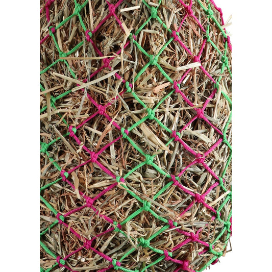 Slow Feed Poly Haynet Pink/Lime / Medium
