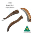 Load image into Gallery viewer, Pet Project - Natural Goat Horn
