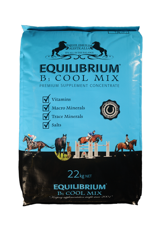 Equilibrium B1 Cool Mix