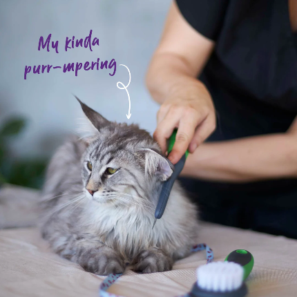 Kazoo - Grooming Comb