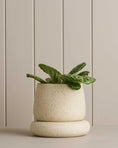 Load image into Gallery viewer, Small Cloud Planter - White Speckle
