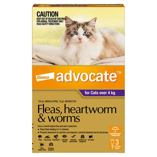 Advocate Cat for Large Cat - 4kg