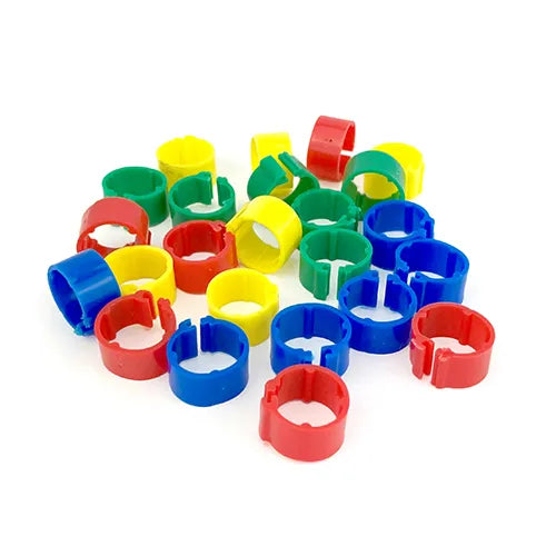 Bainbridge - Leg Bands