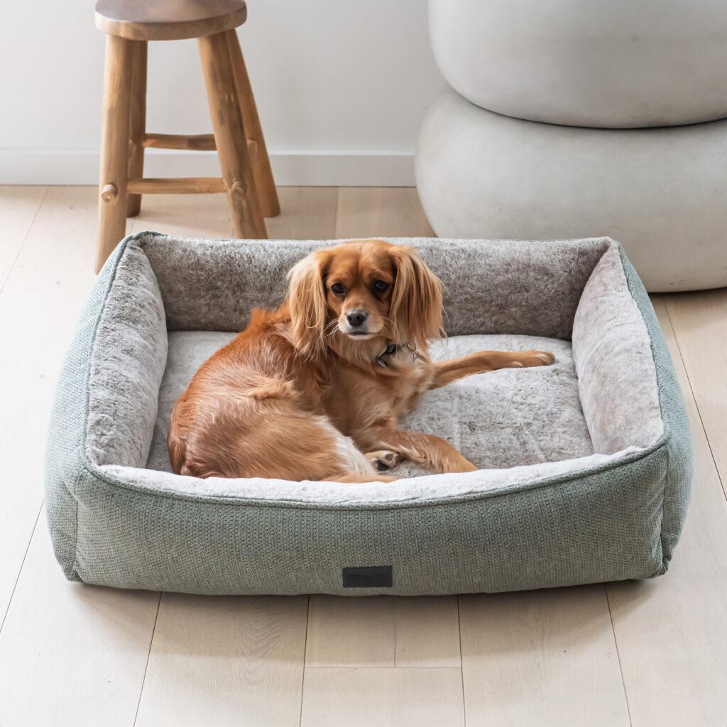 Superior Dog Lounger - Sage Green