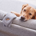 Load image into Gallery viewer, Dog Walking Socks - Golden Retriever
