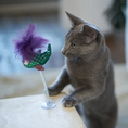 Load image into Gallery viewer, Bouncy Fish with catnip and spring suction cap
