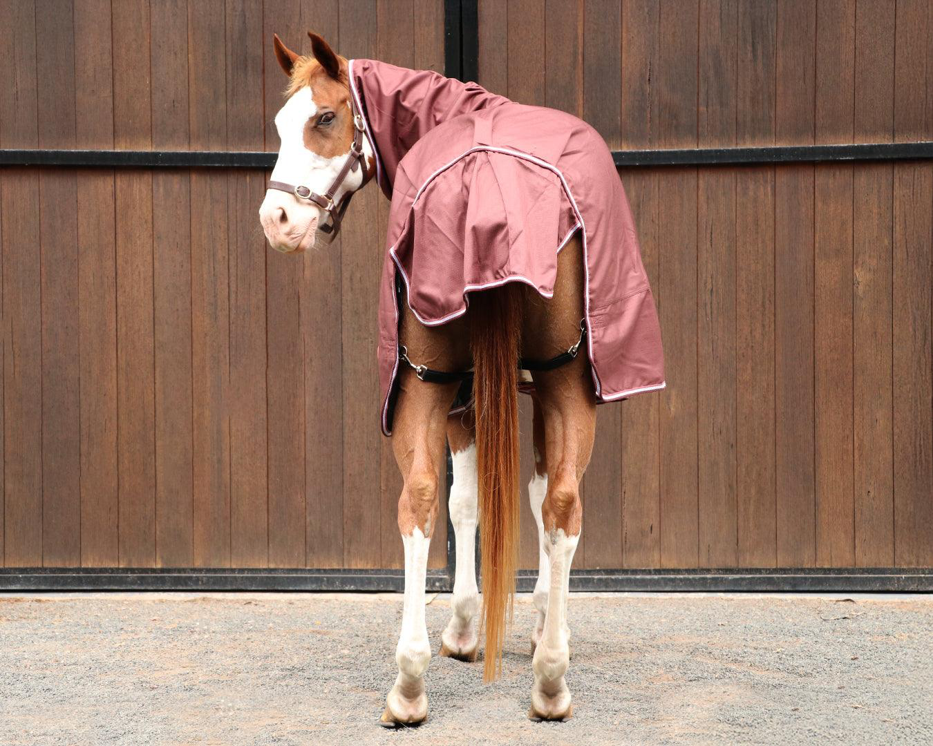 Kozy 1200D Rainsheet Horse Rug Combo - Chocolate