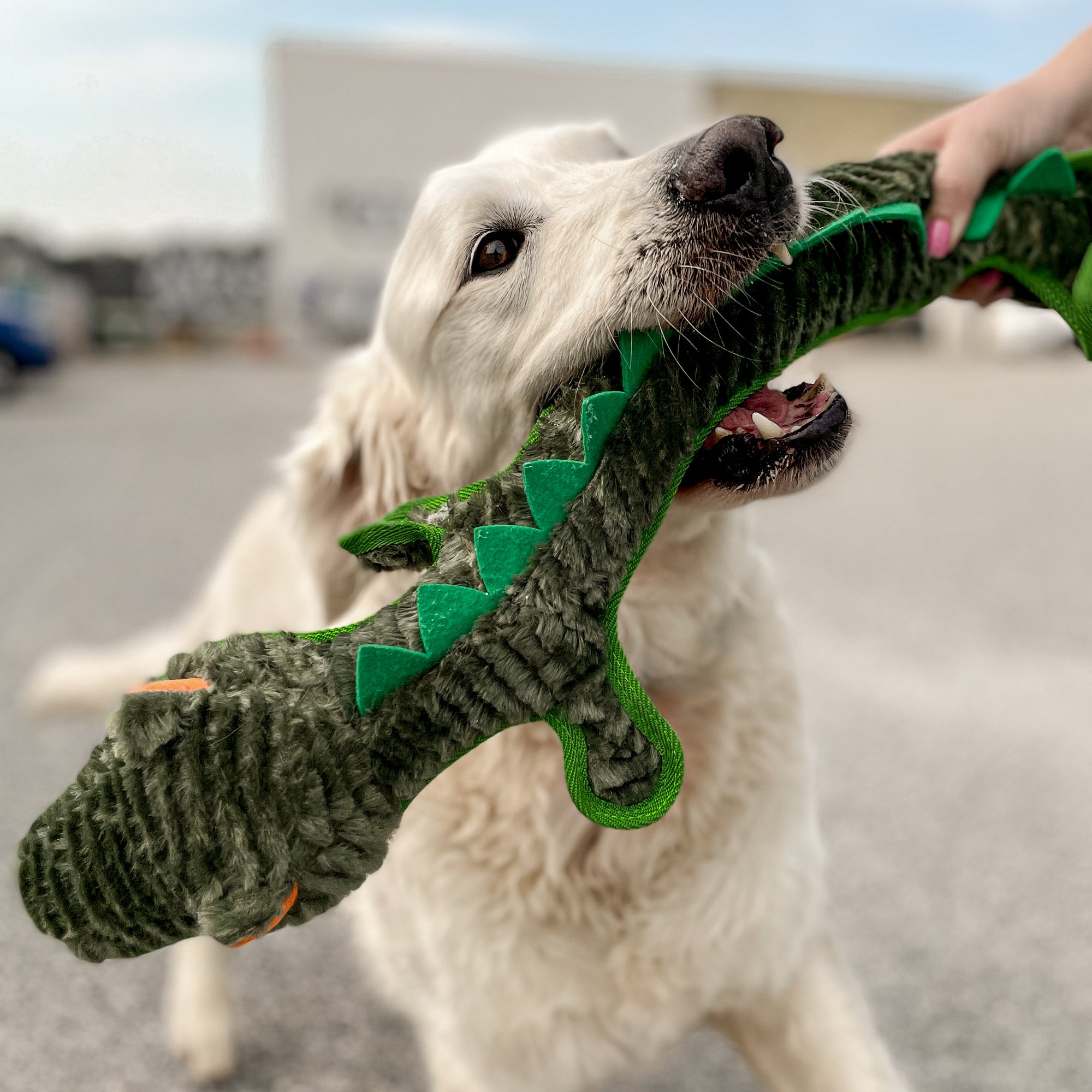 RUFF PLAY - Plush TUFF Crocodile