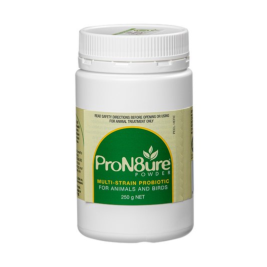IAH ProN8ure Powder