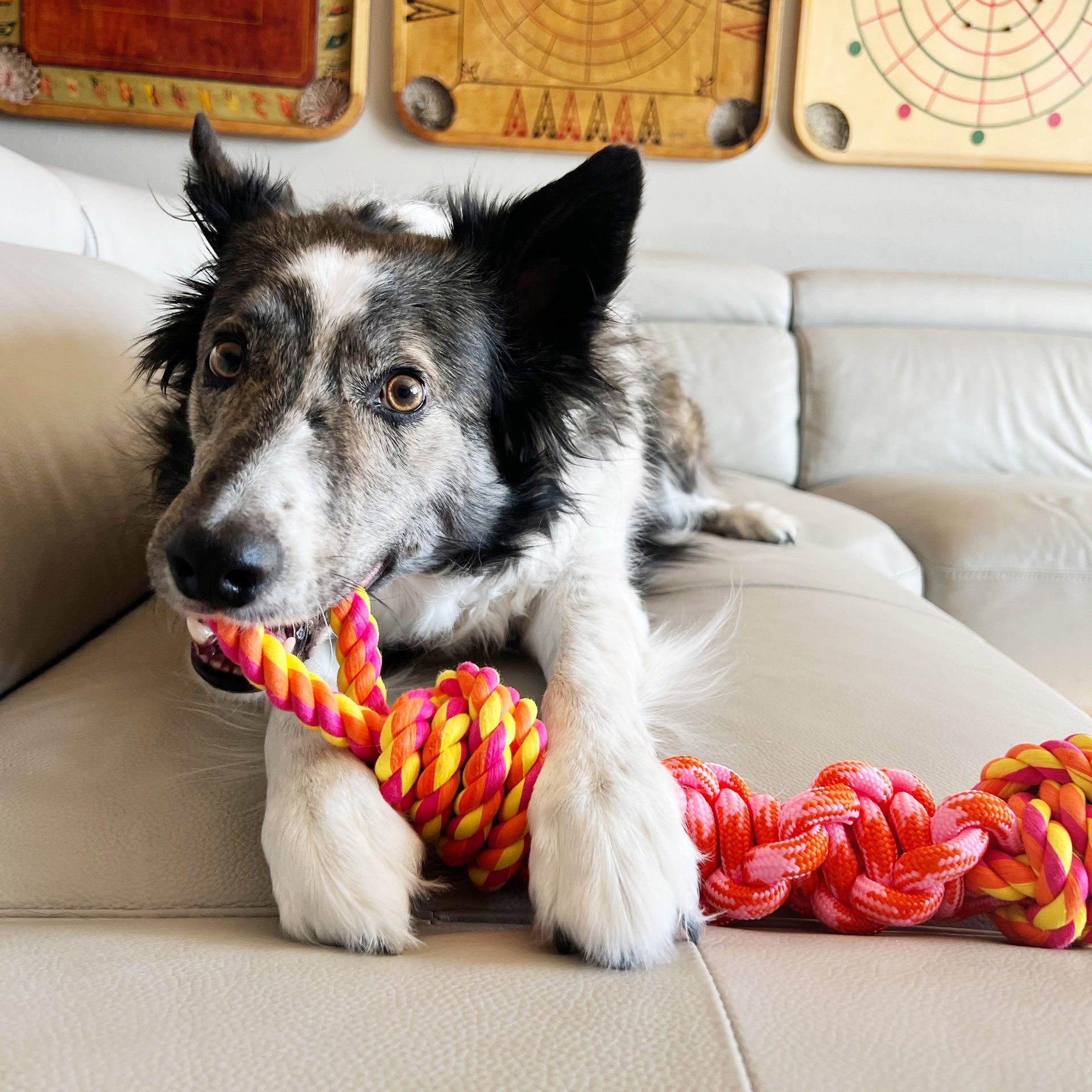 KONG® Rope Bunji