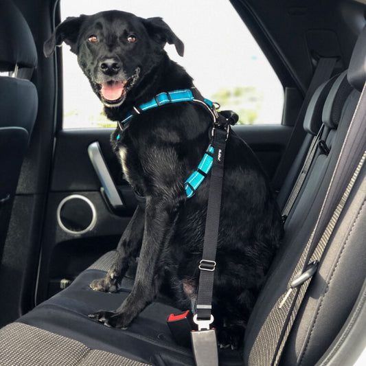 Huskimo Seatbelt Restraint
