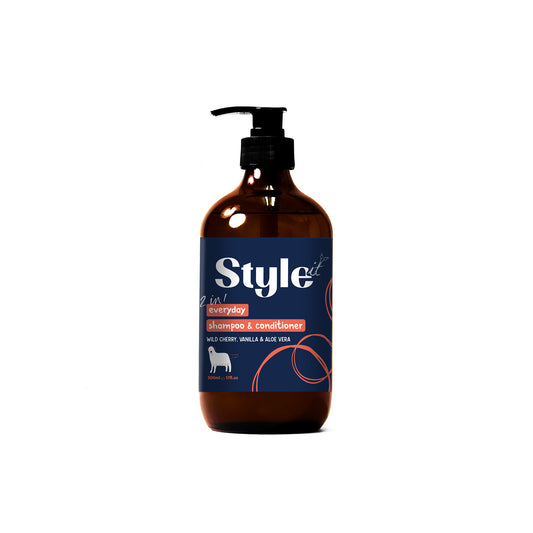 StyleIt 2 in 1 Everyday Shampoo & Conditioner