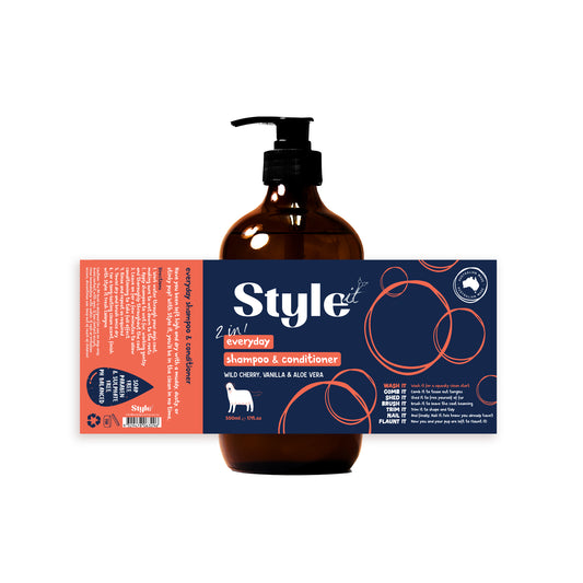 StyleIt 2 in 1 Everyday Shampoo & Conditioner