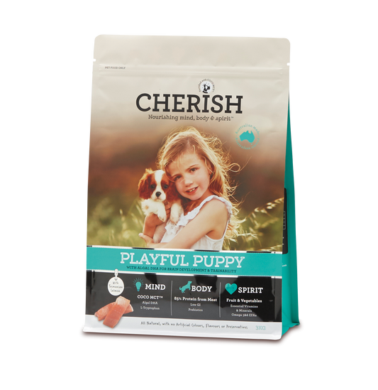 Cherish Playful Puppy
