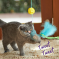 Load image into Gallery viewer, Bluebird Chase & Play Wand
