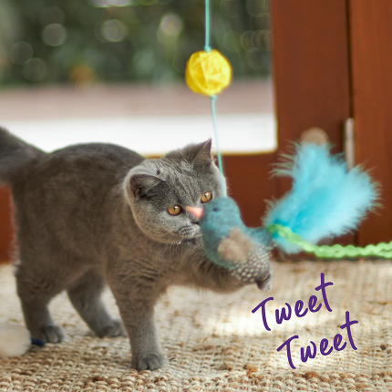 Bluebird Chase & Play Wand