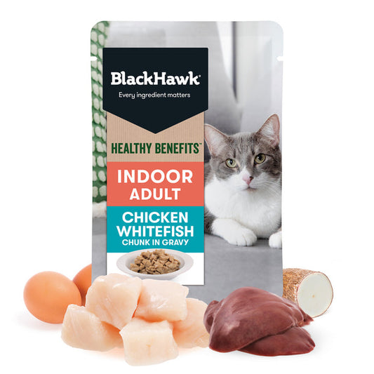 Black Hawk Cat - Healthy Benefits Indoor - Chicken and Whitefish - 85g x 12 Pack