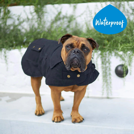 Aussie Oilskin Coat - Black