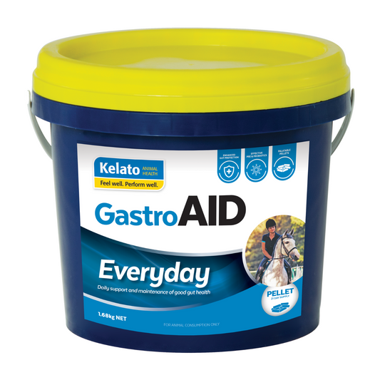 Kelato - GastroAID Everyday