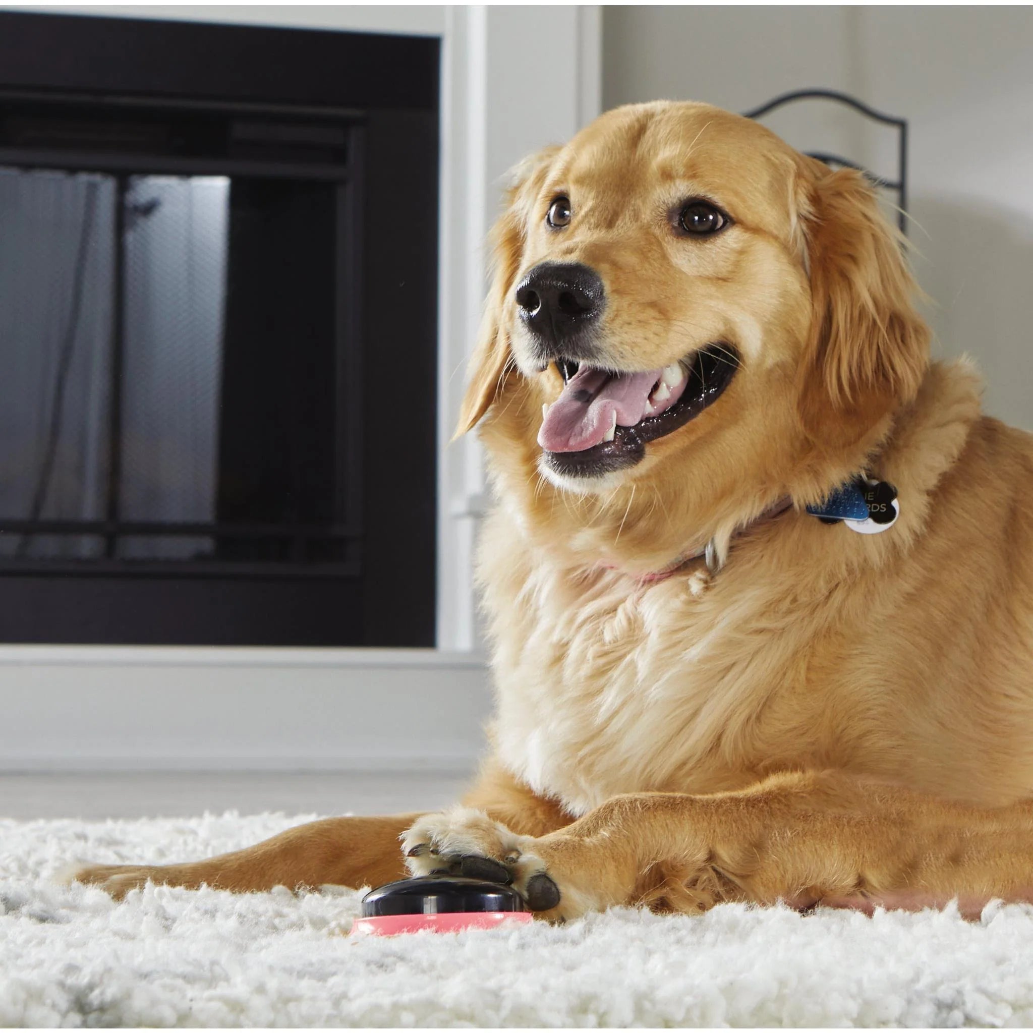 Hunger for words - Talking Pet Next Words - Locations