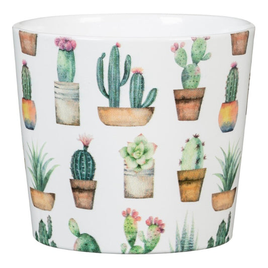 Scheurich Mini Cactus Pot (Assorted)