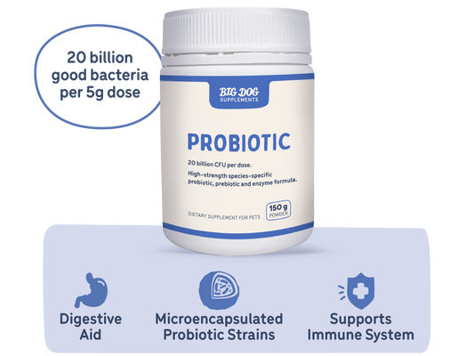 BigDog Natural Probiotics for Pets