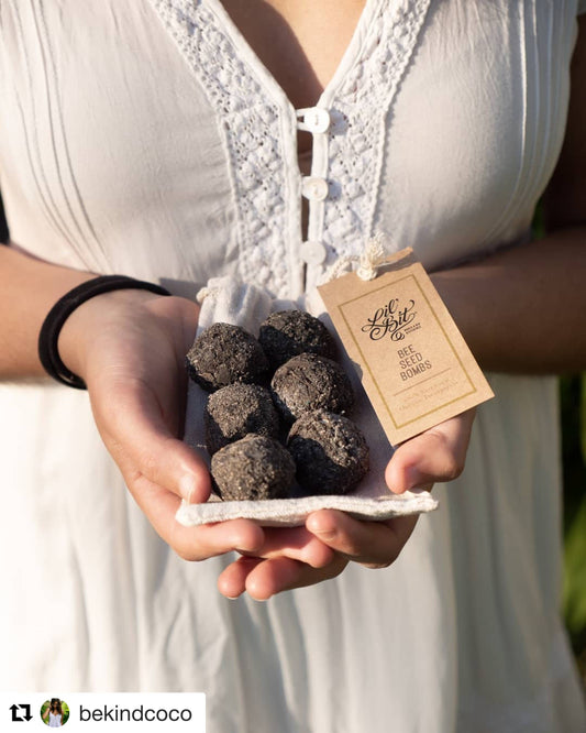 Bee Seed Balls 6 Pack