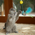 Load image into Gallery viewer, Bluebird Chase & Play Wand
