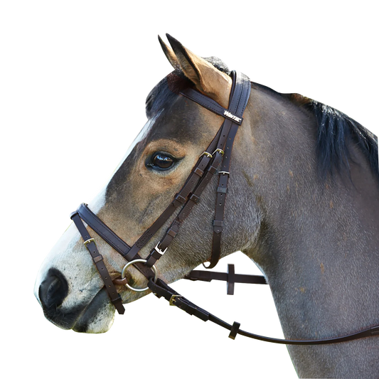 Wintec Bridle with Hanoverian Noseband (Flash)