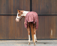 Load image into Gallery viewer, Kozy 1200D Rainsheet Horse Rug - Chocolate
