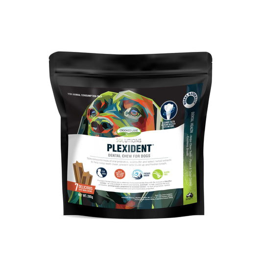 Crooked Lane Plexident Dental Chews 7 Pack / 280g