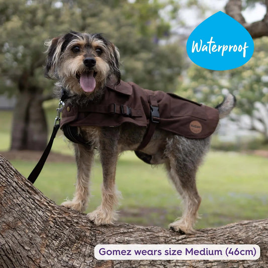 Aussie Oilskin Coat - Brown