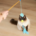Load image into Gallery viewer, Bluebird Chase & Play Wand
