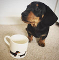 Load image into Gallery viewer, Mischievous Mutts Dog Mug - Dachshund / Sausage Dog
