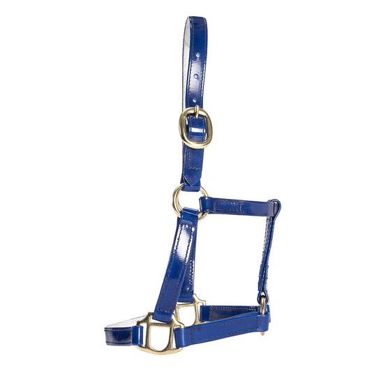 Horse Sense Mini Halter Blue / Large
