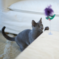 Load image into Gallery viewer, Bouncy Fish with catnip and spring suction cap
