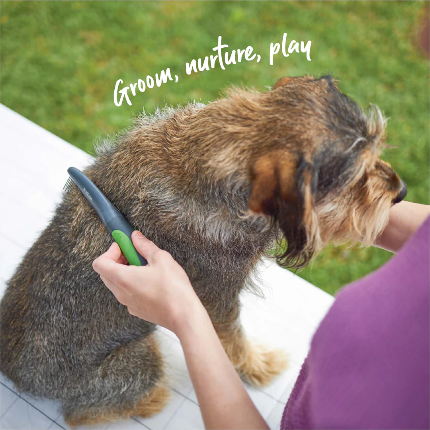 Kazoo - Moulting Comb