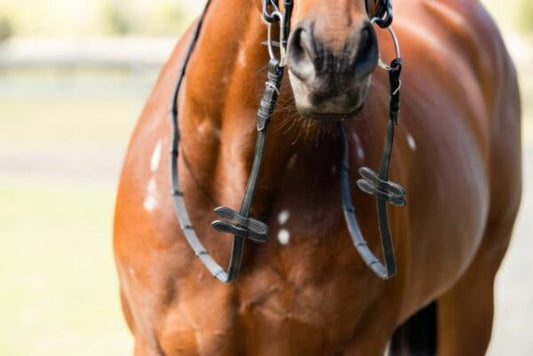 Cavalier Double Stopper Jumping Rein