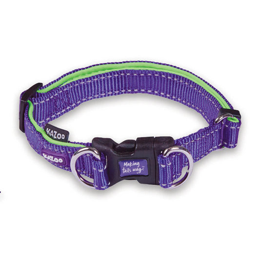 Active Easy Clip Collar